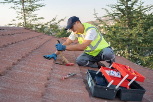 Roof Gutter Cleaning in West Point, UT