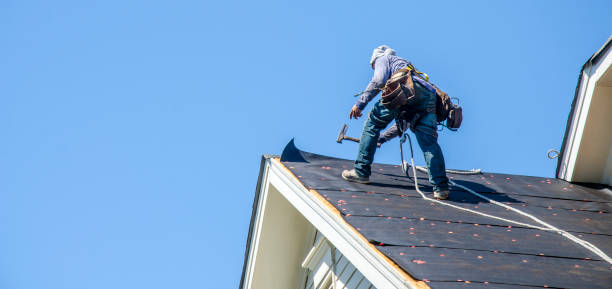 Best Shingle Roofing Installation  in West Point, UT